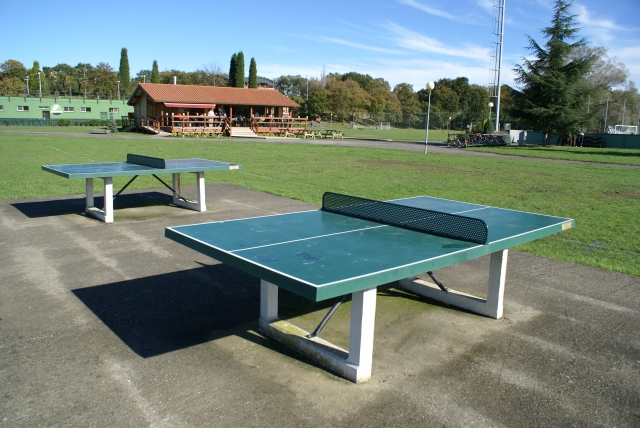 Tenis de mesa